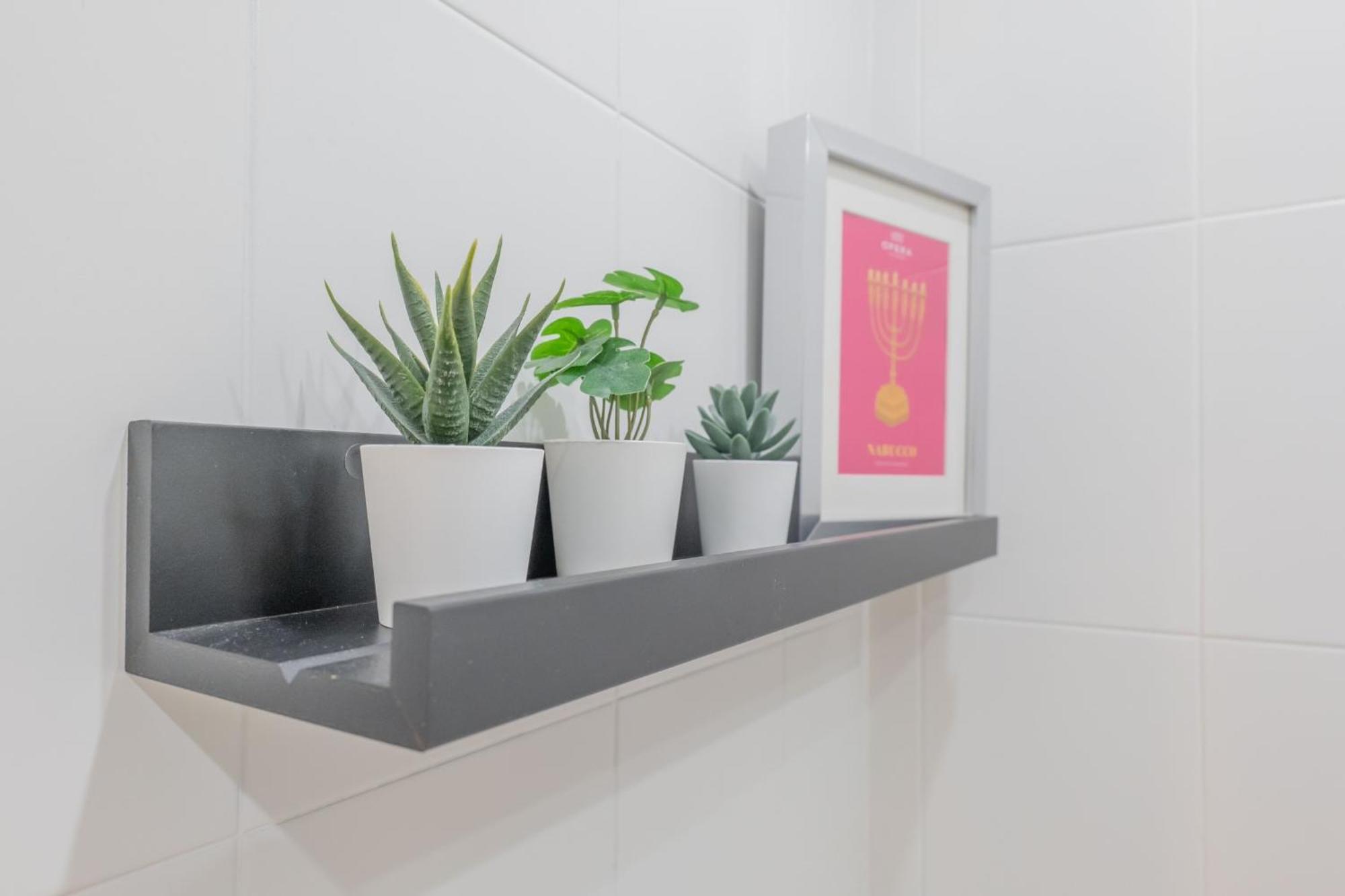 Nabucco Apartment Oviedo