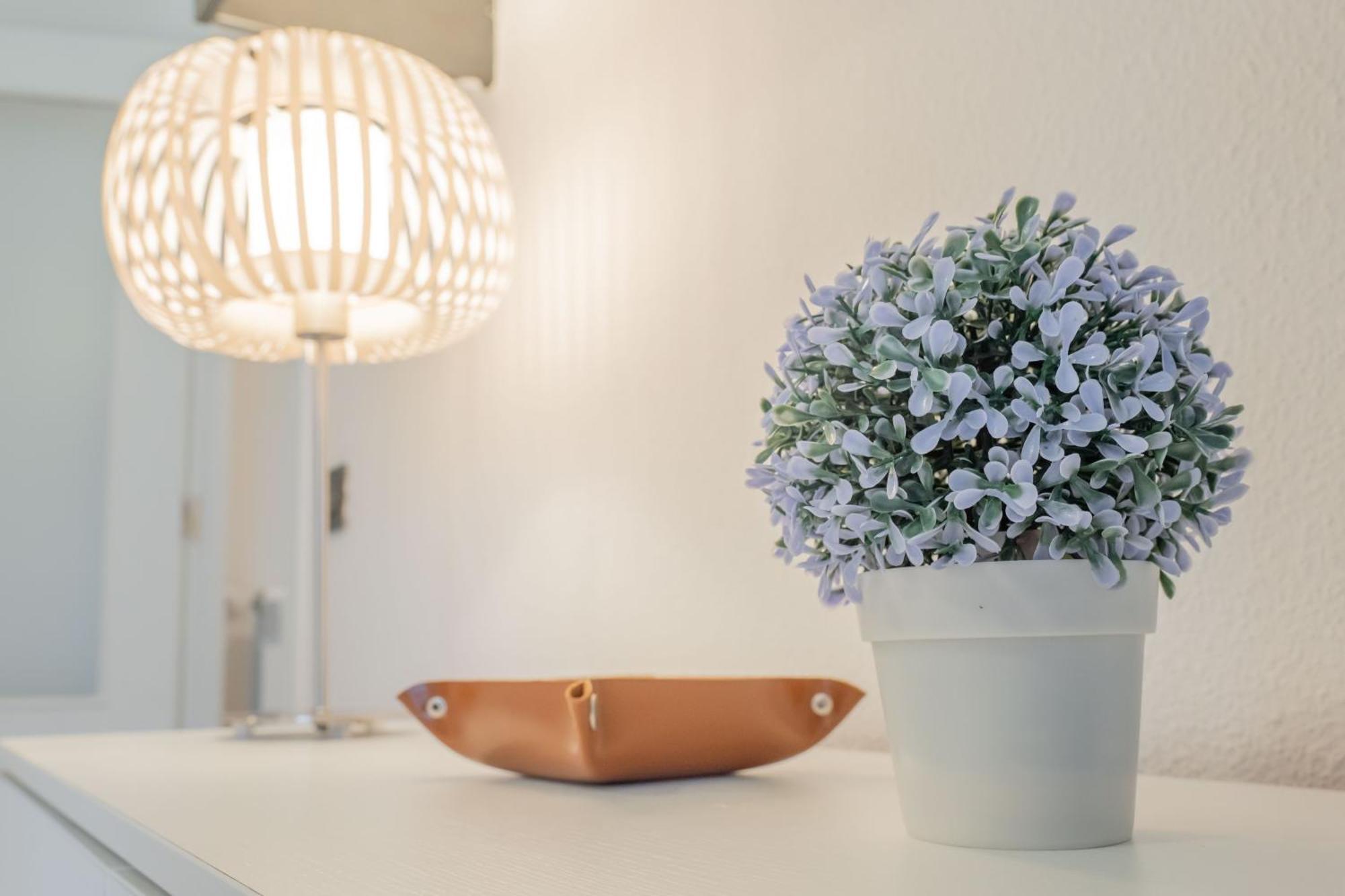 Apartment Nabucco *
